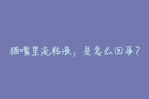 猫嘴里流粘液,是怎么回事?-动物百科