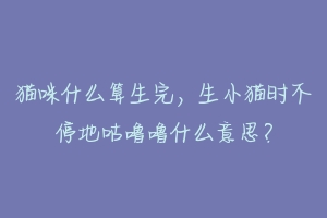 猫咪什么算生完,生小猫时不停地咕噜噜什么意思?-动物百科