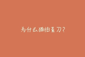 为什么猫怕菜刀?-动物百科
