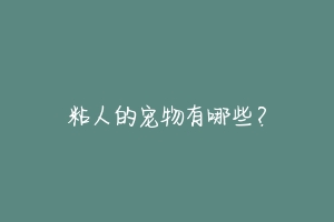 粘人的宠物有哪些?-动物百科