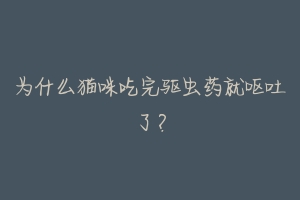 为什么猫咪吃完驱虫药就呕吐了?-动物百科