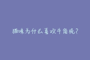 猫咪为什么喜欢牛角梳?-动物百科