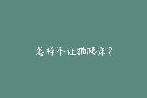 怎样不让猫爬床?-动物百科