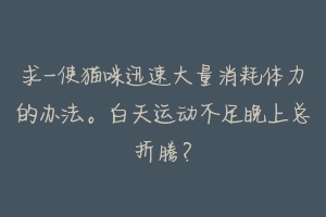 求-使猫咪迅速大量消耗体力的办法。白天运动不足晚上总折腾?-动物百科
