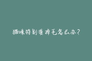猫咪特别爱掉毛怎么办?-动物百科