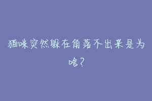 猫咪突然躲在角落不出来是为啥?-动物百科