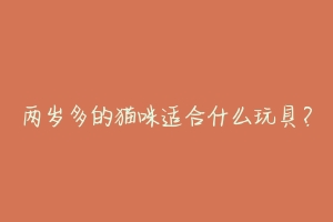 两岁多的猫咪适合什么玩具?-动物百科