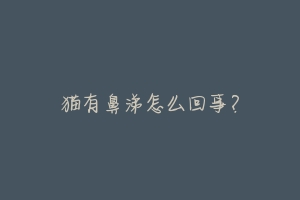 猫有鼻涕怎么回事?-动物百科