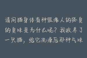请问猫身体有种很像人的狐臭的臭味是为什么呢?我收养了一只猫,给它洗澡后那种气味都很浓…我的另外一只?-动物百科
