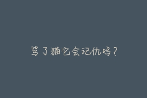 骂了猫它会记仇吗?-动物百科