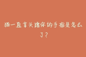 猫一直拿头蹭你的手指是怎么了?-动物百科