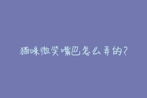 猫咪微笑嘴巴怎么弄的?-动物百科