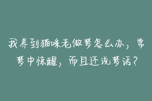 我养到猫咪老做梦怎么办,常梦中惊醒,而且还说梦话?-动物百科