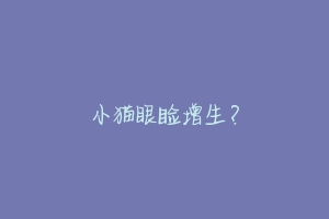 小猫眼睑增生?-动物百科