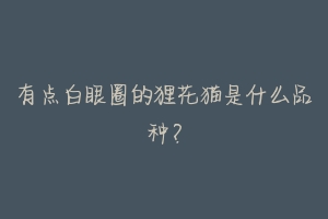 有点白眼圈的狸花猫是什么品种?-动物百科