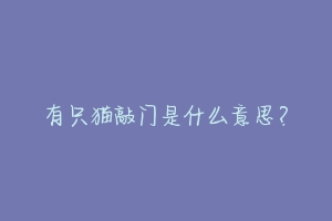 有只猫敲门是什么意思?-动物百科