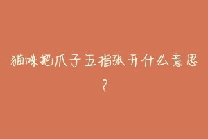 猫咪把爪子五指张开什么意思?-动物百科