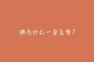 猫为什么一身反骨?-动物百科