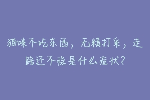 猫咪不吃东西,无精打采,走路还不稳是什么症状?-动物百科