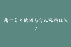 两个月大的猫为什么吸脚趾头?-动物百科