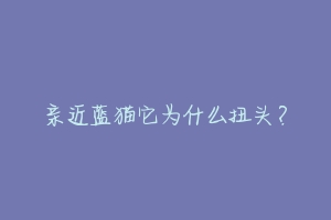 亲近蓝猫它为什么扭头?-动物百科