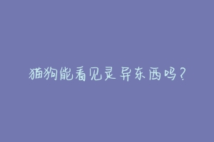 猫狗能看见灵异东西吗?-动物百科