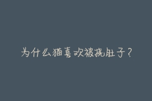 为什么猫喜欢被挠肚子?-动物百科