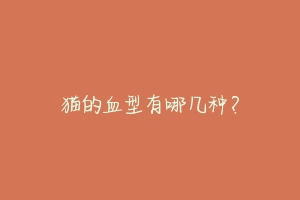 猫的血型有哪几种?-动物百科