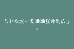 为什么我一摸猫猫就伸出爪子?-动物百科