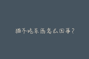 猫不吃东西怎么回事?-动物百科