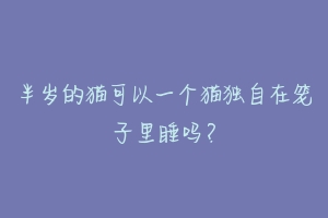 半岁的猫可以一个猫独自在笼子里睡吗?-动物百科