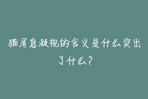 猫屏息凝视的含义是什么突出了什么?-动物百科
