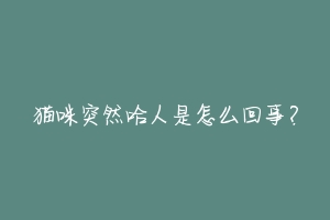 猫咪突然哈人是怎么回事?-动物百科