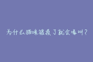 为什么猫咪被摸了就会嚎叫?-动物百科