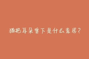 猫把耳朵垂下是什么意思?-动物百科