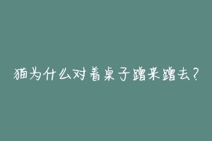 猫为什么对着桌子蹭来蹭去?-动物百科