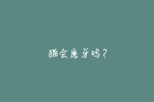 猫会磨牙吗?-动物百科