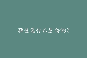 猫是靠什么生存的?-动物百科