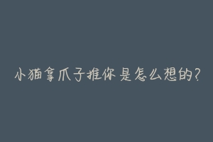 小猫拿爪子推你是怎么想的？-动物百科