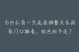 为什么有一只流浪猫整天在我家门口躺着,赶也赶不走?-动物百科