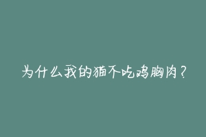 为什么我的猫不吃鸡胸肉?-动物百科