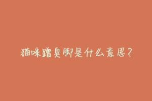 猫咪蹭臭脚是什么意思?-动物百科