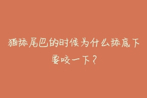 猫舔尾巴的时候为什么舔底下要咬一下?-动物百科