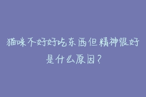猫咪不好好吃东西但精神很好是什么原因?-动物百科