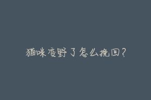 猫咪变野了怎么挽回?-动物百科
