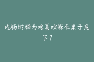 吃饭时猫为啥喜欢躲在桌子底下?-动物百科