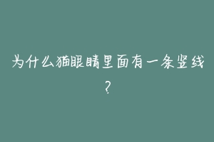 为什么猫眼睛里面有一条竖线?-动物百科