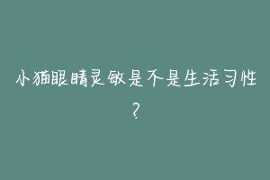 小猫眼睛灵敏是不是生活习性?-动物百科