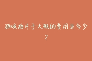 猫咪拍片子大概的费用是多少?-动物百科