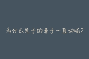 为什么兔子的鼻子一直动呢?-动物百科
